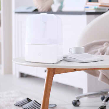 Using a humidifier to minimise the winter discomforts